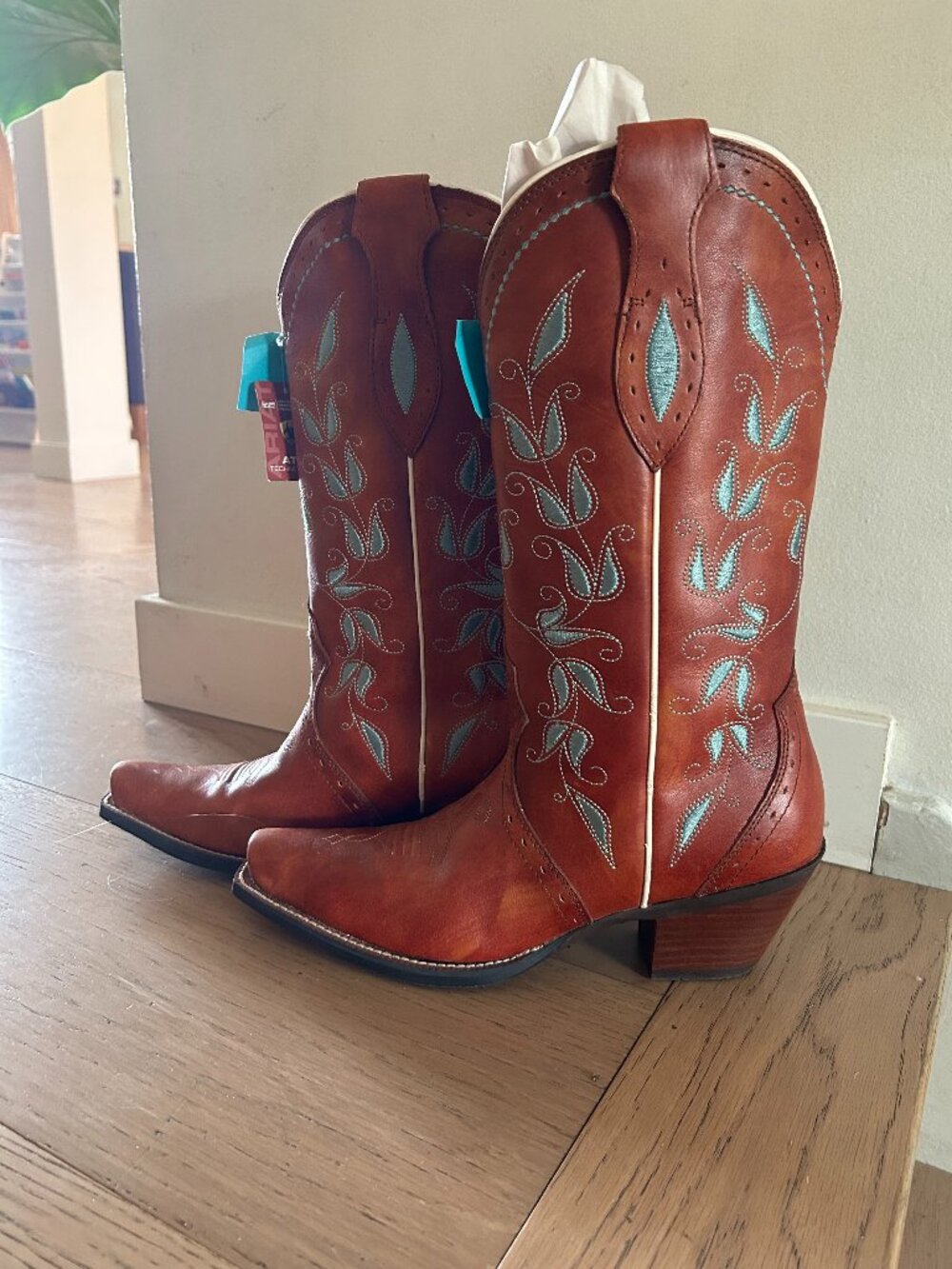 NWT Ariat Cowboy Boots